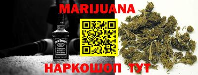 индика Славгород