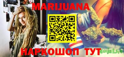 индика Славгород
