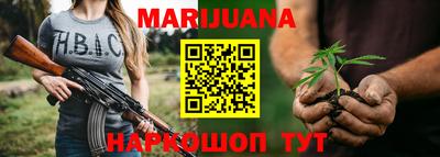 индика Славгород
