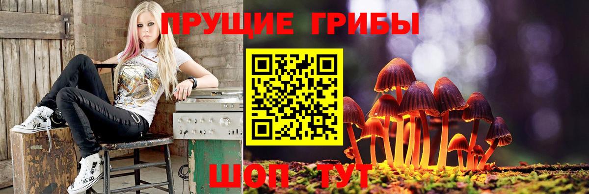 Саров  Псилоцибиновые грибы ЛСД  Вход с VPN 
